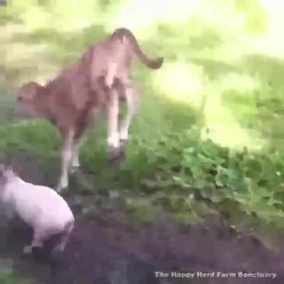 Best friends weirding out