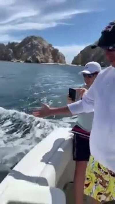 Throw me something mister!