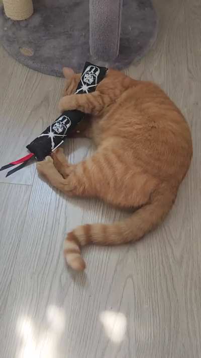 I think we found his new favourite toy