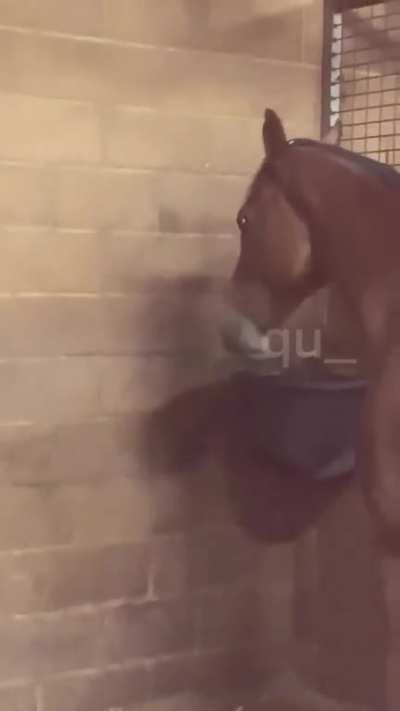 You spin my head right round, right round