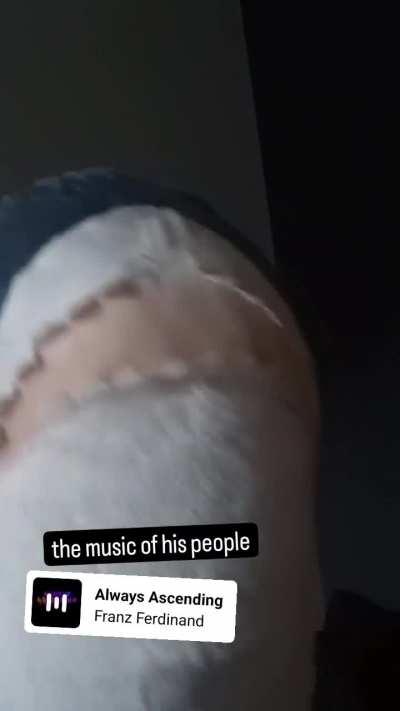 his name is Franz and he likes to dance