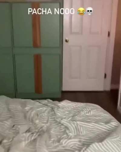 ele ficou trise tadinho....