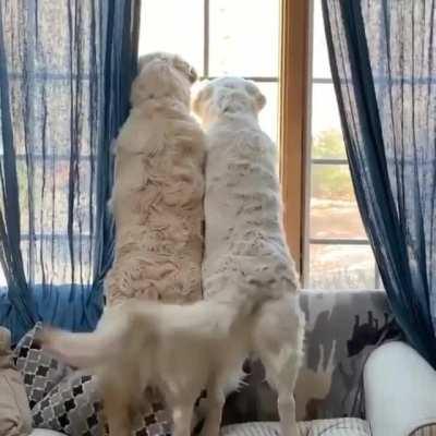 Being on the same page