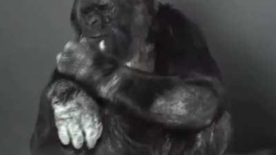 MiNhA PrImEiRa vEz aQuI - love u abê <3