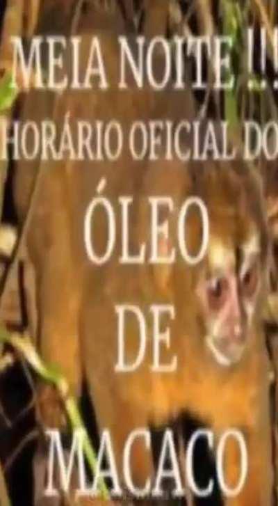 Vô postá poque achei ingraçado. (Isso tudo foi proposital).