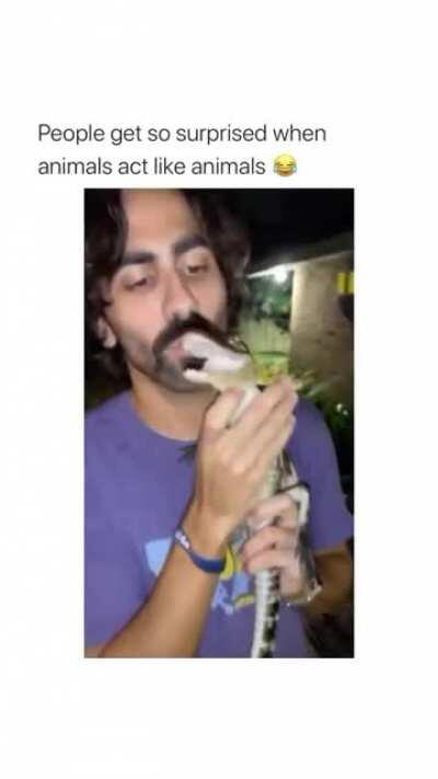 I didn't know what I was expecting but...