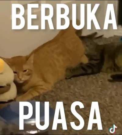 Selamat berbuka semua ☺️☺️