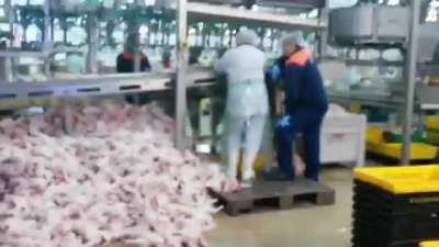 Благодарный. Ставрополье