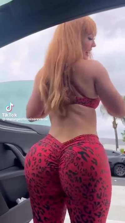 @thelargestbrasizereverse