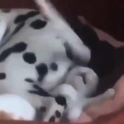 Sleep() is not working