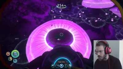 This is why I don’t play Subnautica