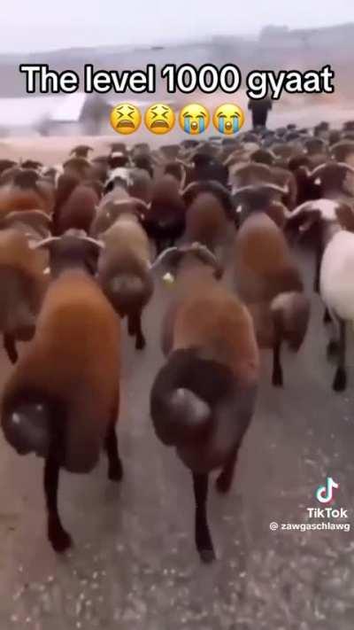 GYYYYYYYYYYYYYYAT 😫😫😫💦💦💦