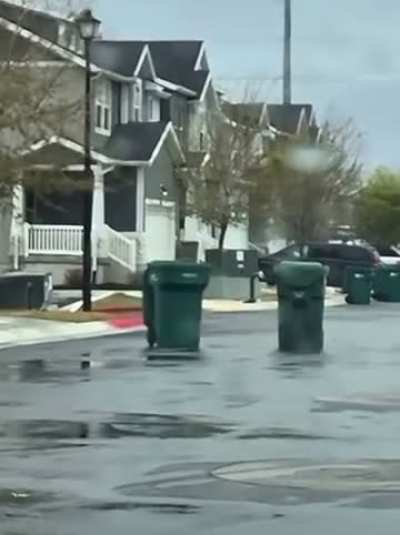Trashy or Classy