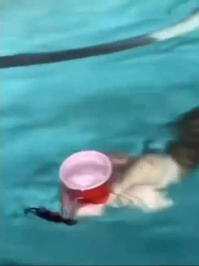 Man saves cockroach from drowning in pool.