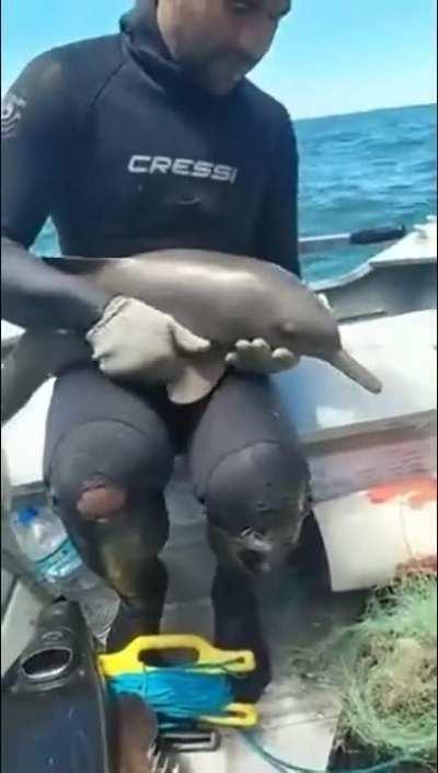 This is going to be OK. Trust me.