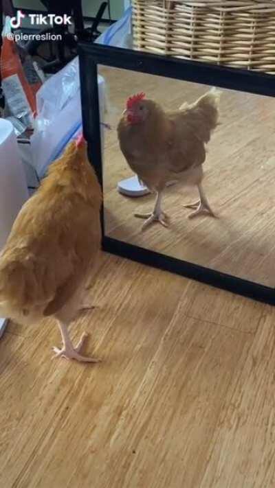 When you lose a fight against yourself