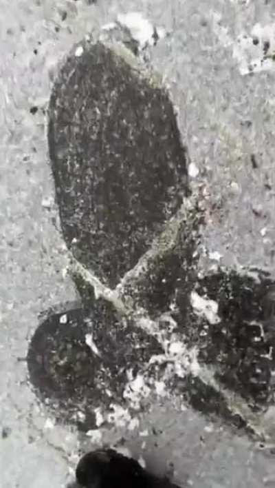 Рекабушник поскользнулся