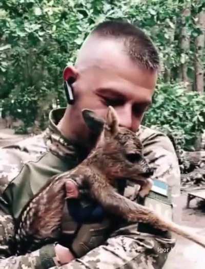 Ukrainian soldiers little companions.