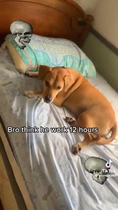 Blud thinks he paid the bills