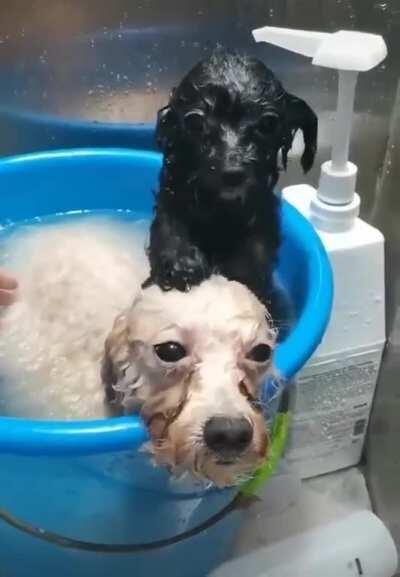 A bath and scalp massage