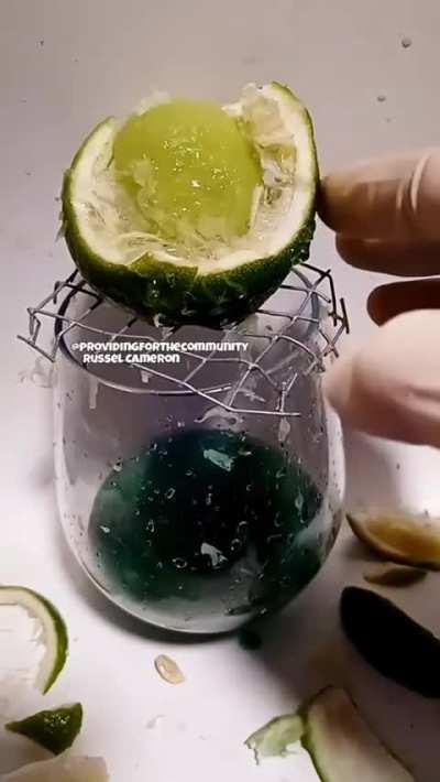 Ok, who of you insane biomancers thought this was a good idea?! ...