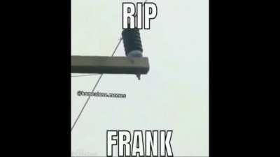 Frank :(