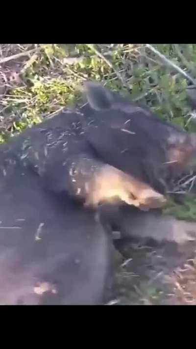 Round and round, round and round