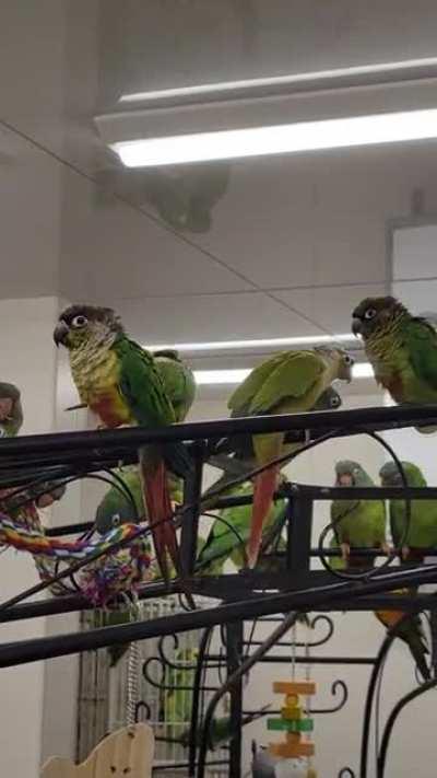 Now THIS is a party.