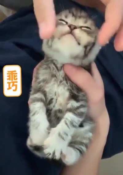 Look at them happy toes!