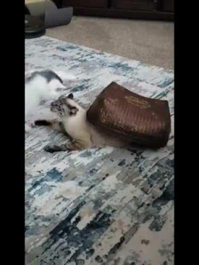 Repelling an attack from the dimension