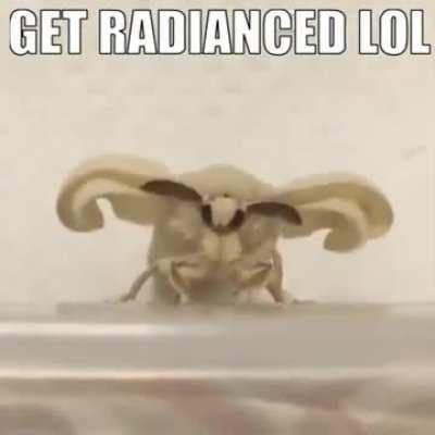 Not sure if this is the right place but this is a really genius strategy