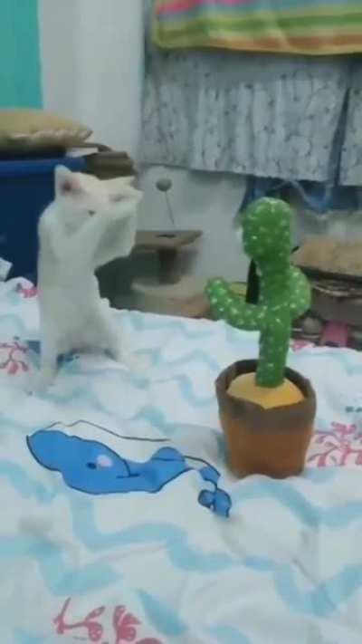 he do a danger dance