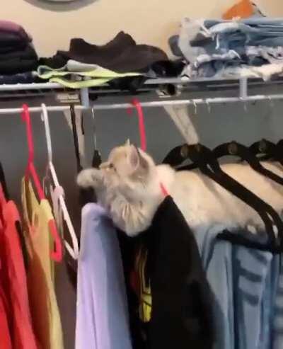 why is he doing this