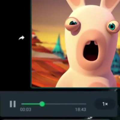 Rabbids: a invasão da Nickelodeon