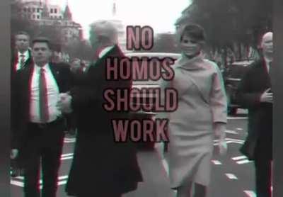 Sigma rule 987 Don't let Homos Work #OrangeIllionaireGrindset