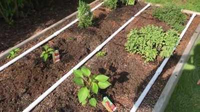 Finally finished my irrigation system