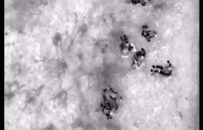 Night time drone attacks on a squad of sleeping Russians