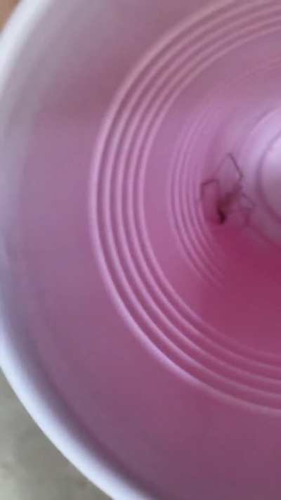 Hello spiders and goodbye