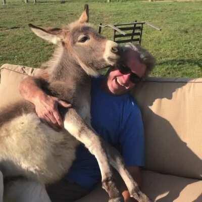 Big boye is getting too big for the lap