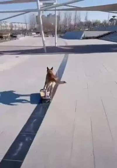 He's a better skateboarder than I am. I feel like he's laughing at me...