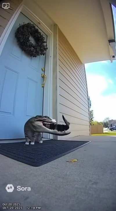 Cocodrilo oculto Debora brutalmente a un animal curioso