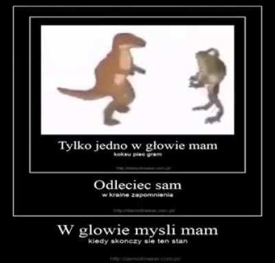 tylko jedno w głowie mam koksu piec gram