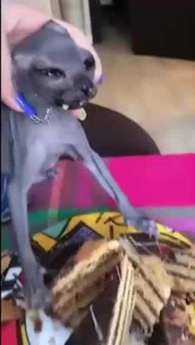 No cake for you! Cyka Blyat