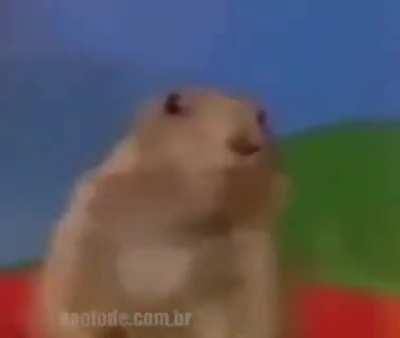 O MOTIVO DO CORONGA VÍRUS