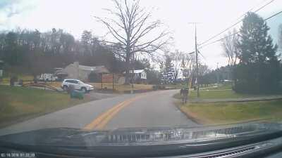 She didn’t slow down, stop, or acknowledge her idiocy in any way!