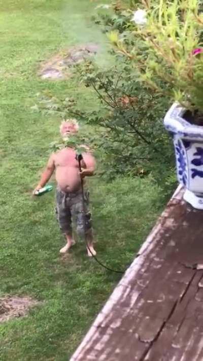 Don’t want no hornets in my damn trees!!!!