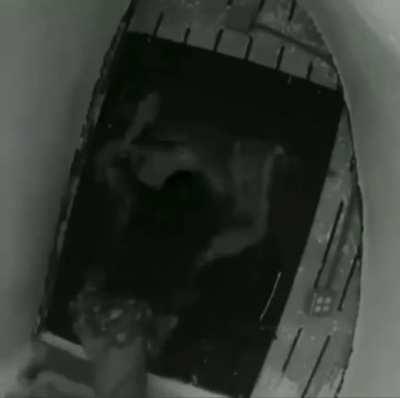 me sitting in hell after lux ults me for the 10th time in a teamfight after the buffs