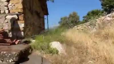 Keloğlanın evine gittim