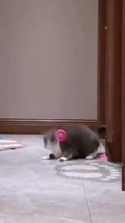 Achilles son of Peleus or anubis