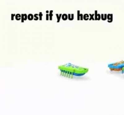 Repost if you like hexbugs caw caw